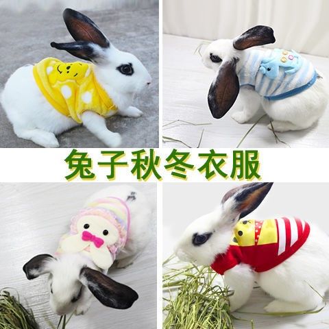 兔子衣服宠物幼兔穿的衣服侏儒垂耳兔兔用品小型迷你