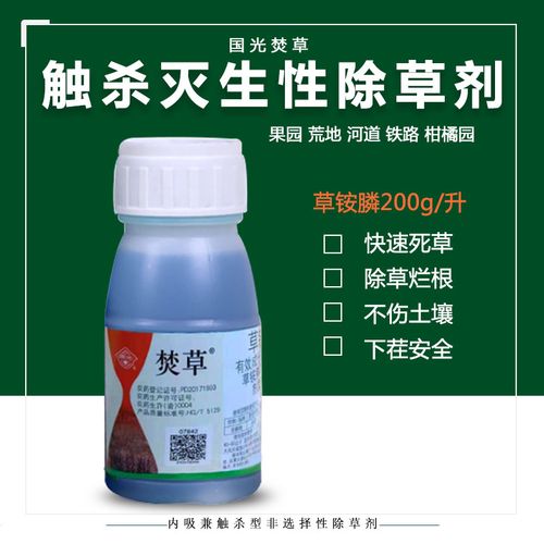 国光焚草草铵膦除草剂杂草杂灌果园荒地苗圃铁路杀草柑橘地小飞蓬