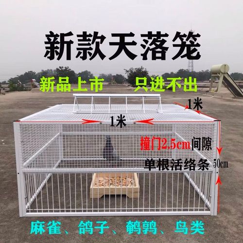 抓鸽子神器天落笼只进不出自动碰门笼捕鸽神器鸽具用品用具鸽子笼