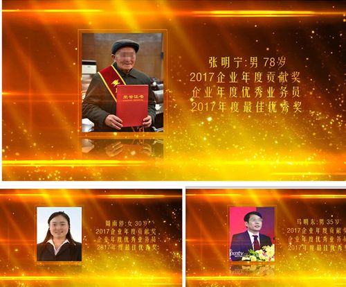 企业公司会声会影表彰颁奖人物先进个人颁奖典礼视频x8x9模板