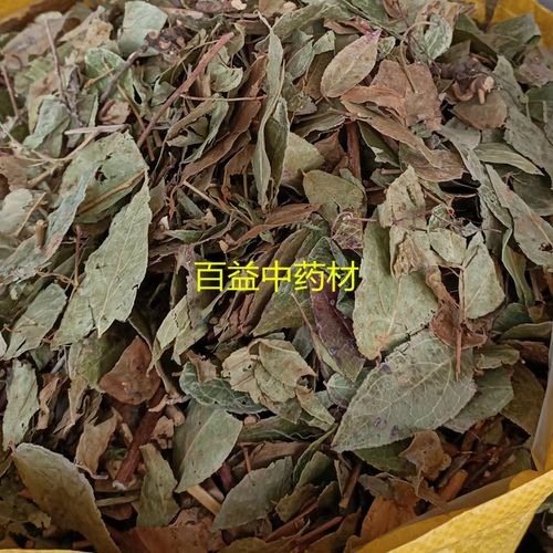 满山香中药材 500克茎叶  过山香 白株树 千里香七里香广西产