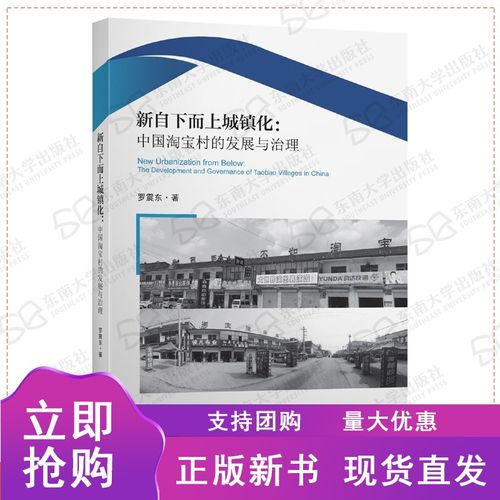 n现货 新自下而上城镇化 中国村的发展与治理 罗