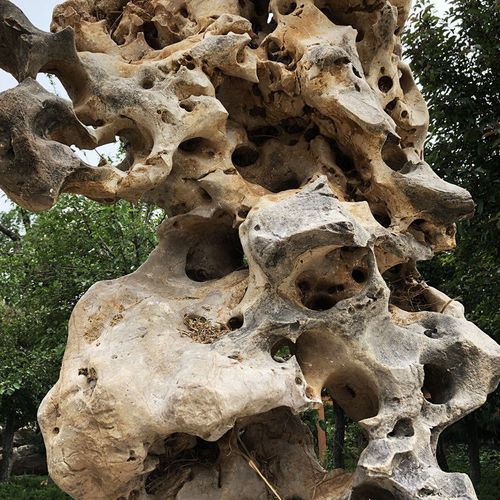 【清代流传】园林太湖石景观石绿化别墅庭院奇石观赏石天然原