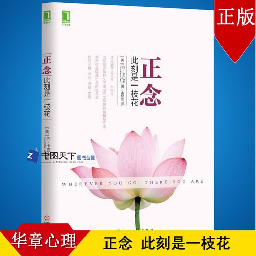 心灵修养 心理励志 人生哲学 心理学书籍心灵鸡汤文 正能量 正念减压