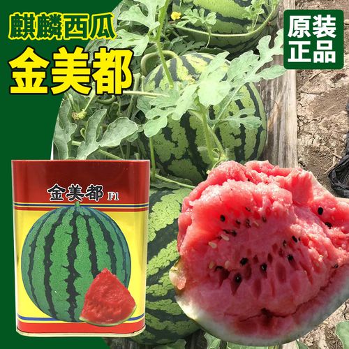 大禹金美都西瓜种子大田菜地农户高产水果脆甜多汁红瓤西瓜籽
