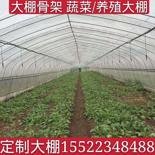 高端草莓大棚管葡萄架r棚v钢管农用大棚骨大大厂配件棚家奢华