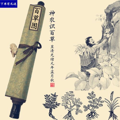 神农百草本草纲目图中草药材识别经络挂图植物野菜百草图国画卷轴