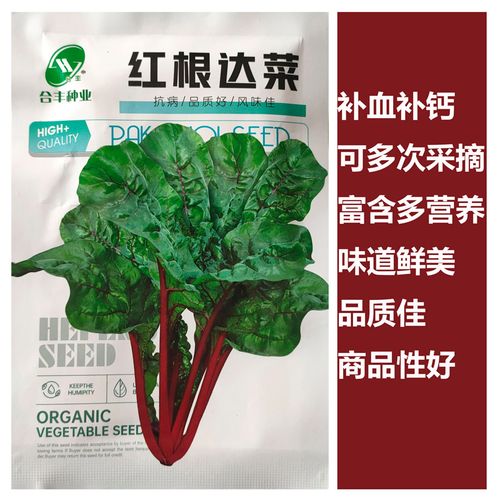 红根达菜种子红牛皮菜莙荙菜君达菜种籽盆栽蔬菜四季蔬菜播种包邮