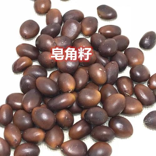 皂角籽 250克包邮 野生天然大皂角子粉精选皂角米中药材皂荚籽