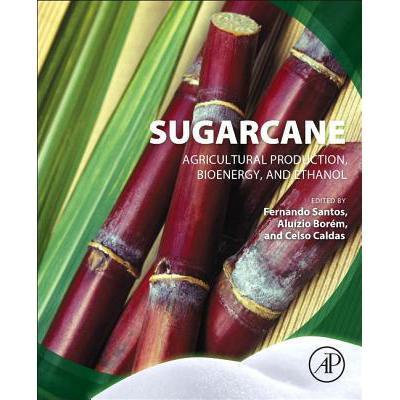 预订 sugarcane: agricultural production, bioenerg.