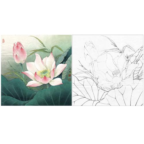 ke07李晓明工笔荷花白描底稿水上芙蓉实物打印有步骤图
