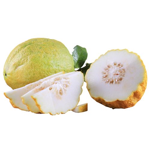 云南香橼果野果子香炎香圆拂手柑香圆果枸橼果水果 4.5kg