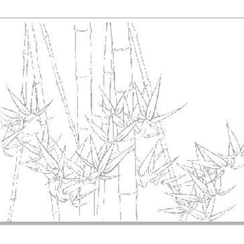 a3白描竹子初学者宣纸