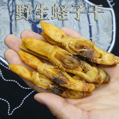 瀚诚品野生新鲜还蛏子干海蛏子肉无沙干货250g
