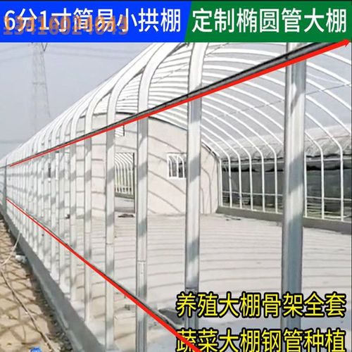 简易蔬菜养殖种植钢架温室大棚骨架农业连体养鸡养鸭蔬菜大棚配件