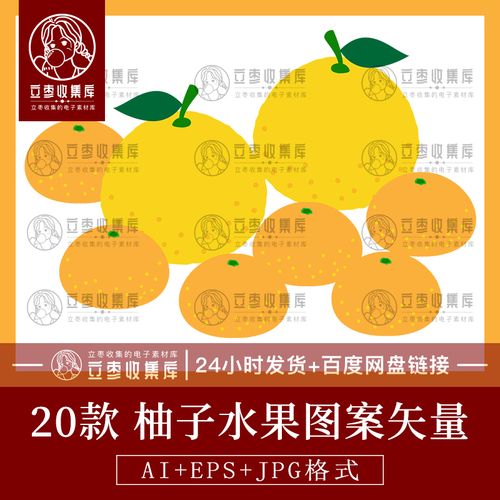 日式手绘水彩简约柚子图案插画ai矢量png透明底包装