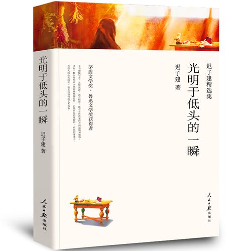 迟子建散文集 迟子建的书小说 会唱歌的火炉 原来姹紫嫣红开遍 北方的