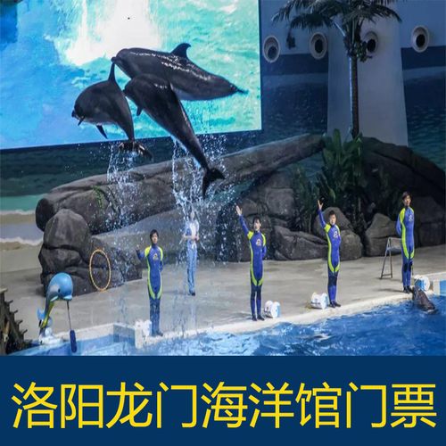 [龙门海洋馆-大门票]河南洛阳龙门海洋馆门票家庭票