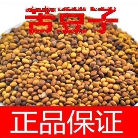 新疆苦豆子中药材苦豆子苦马豆羊尿泡马皮泡新货正品包邮