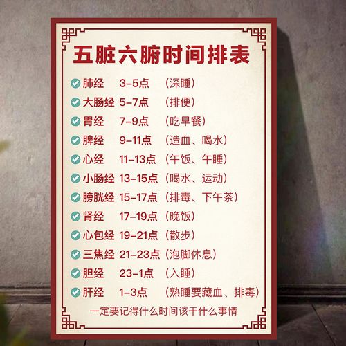 中医养生馆美容院挂图五脏六腑时间表时辰人体经络全身挂图宣传画