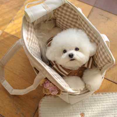 韩国小体宠物外出包宠物包猫包狗狗包小型犬便携单肩手提斜挎出门