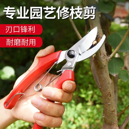 修枝剪爱丽丝ars120dx剪刀园艺剪果树剪刀树枝剪子