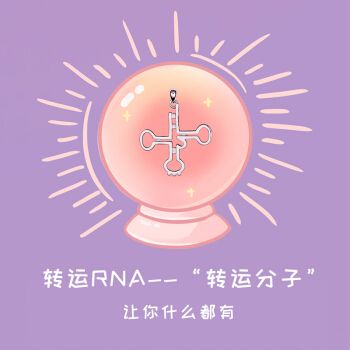 依莲妃 化学元素项链多巴胺rnas925银毕业生日礼物 【转运rna】白金色
