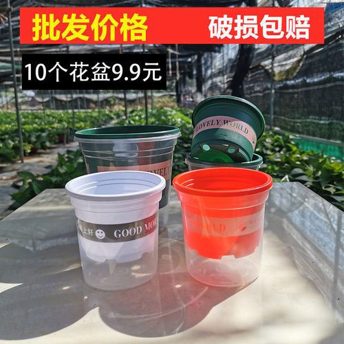 花盆批发塑料小花盆绿萝多肉蝴蝶兰专用盆可爱迷你懒人盆特价清仓