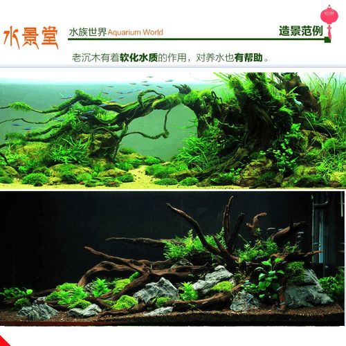 沉木造景套餐水草缸装饰木头莫斯树流木水草树鱼缸水族箱
