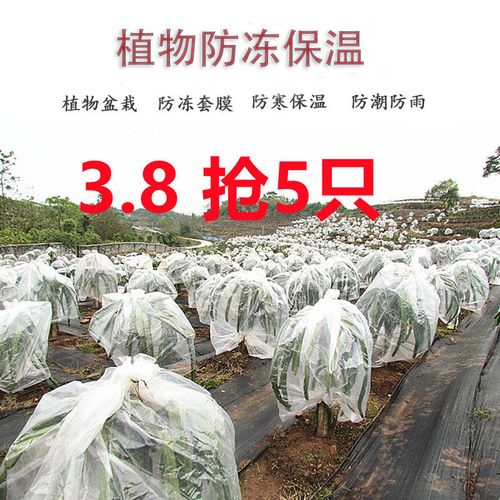 植物保温罩防冻摸花卉多肉树木室外防寒冬季透明袋绿植盆栽保护套【2