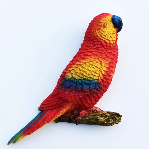 南美巴西彩虹立体红鹦鹉创意旅游纪念装饰工艺品礼物 磁铁冰箱贴