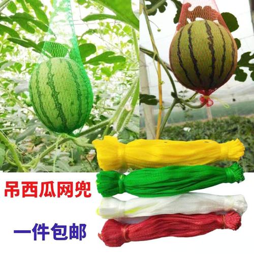 吊西瓜网兜吊网袋吊哈密瓜网兜大棚吊3-20斤西瓜网袋水果螃蟹网兜