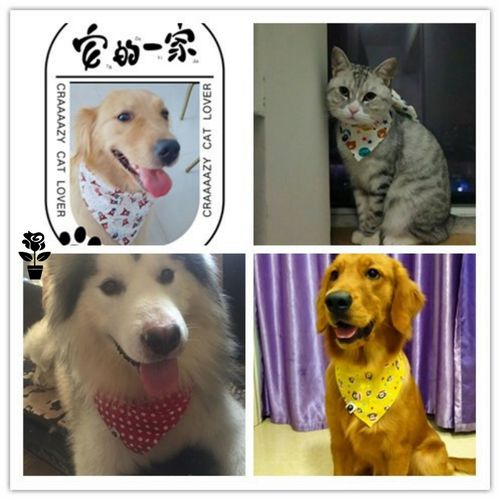 狗狗口水巾泰迪金毛阿拉斯加宠物三角巾项圈围脖嘴猫咪狗围巾