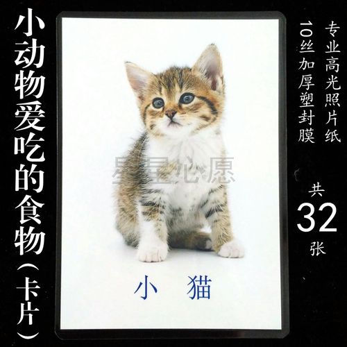 自闭症孤独症训练 学龄前儿童早教 动物爱吃的食物配对 5寸卡片