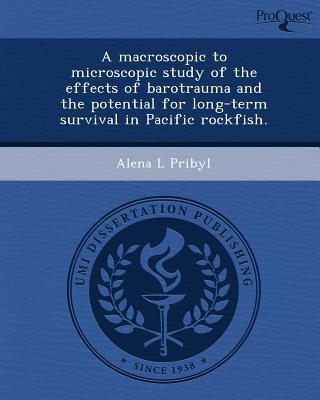 【预订】a macroscopic to microscopic study of