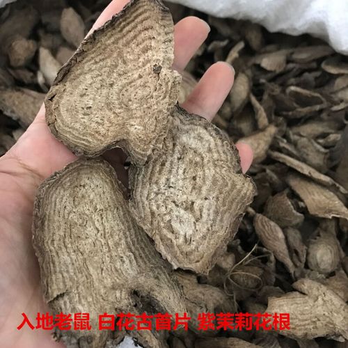 干货野生入地老鼠 钻地老鼠 白古首花头紫茉莉根中药材 500g包邮