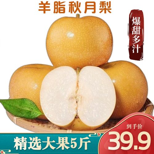 羊脂秋月梨新鲜水果香梨子礼盒 5斤装 净重4.5斤家庭装