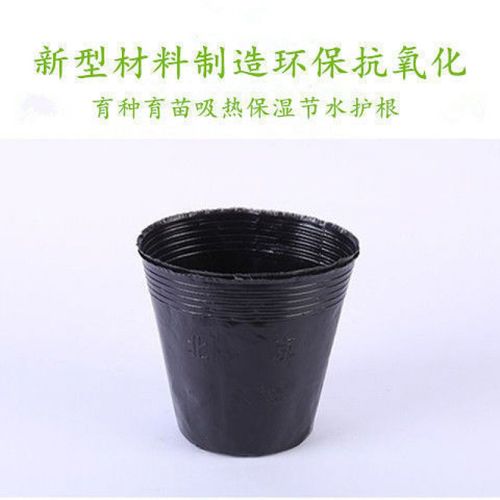 育苗盘营养袋育苗袋育苗杯加厚耐老化育种秧苗杯营养盘苗木种植盆