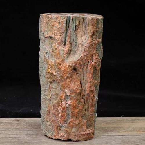 辽西朝阳木化石树化玉硅化木原石摆件天然奇石观赏石