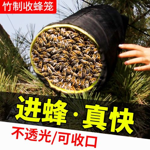 竹制收蜂笼诱捕野蜂土蜂招蜂笼野外捕蜂器捉密蜂专用新品养蜂工具
