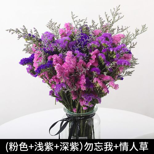 半夏当归 云南勿忘我满天星干花花束真花批发插花装饰客厅摆件花卉