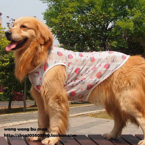 c大狗狗背心夏季衣服夏天金毛摩拉布拉多中型犬大型犬