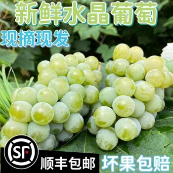 【顺丰速运】水晶葡萄新鲜现摘香水葡萄当季孕妇水果甜非无籽青提 4斤