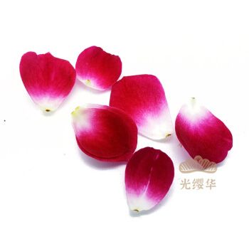 顺丰空运 新鲜小玫瑰食用花 8g 玫瑰花瓣  酒店摆盘装饰