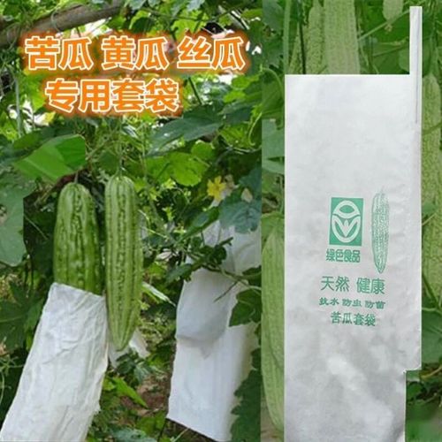 丝瓜i黄瓜苦瓜葡萄袋套专用袋防虫袋子瓜果蔬菜水果套袋防水防雨