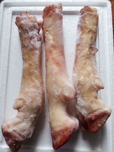 生羊蹄 新鲜羊蹄子肉质丰厚带羊蹄筋羊爪羊脚另有新鲜羊肉 羊杂
