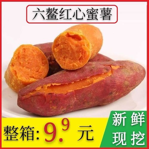 【六鳌红薯】六鳌红蜜薯沙地红薯新鲜现挖红心地瓜蜜薯西瓜红红薯