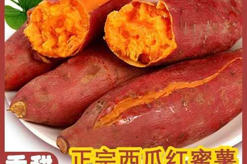 9/箱 广西巴马真正西瓜红蜜薯新鲜现挖番薯地瓜非紫薯六鳌地瓜