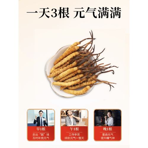 东阳光冬虫夏草干鲜草10g 冻干锁鲜虫草干货滋中秋礼盒礼 冻干锁鲜