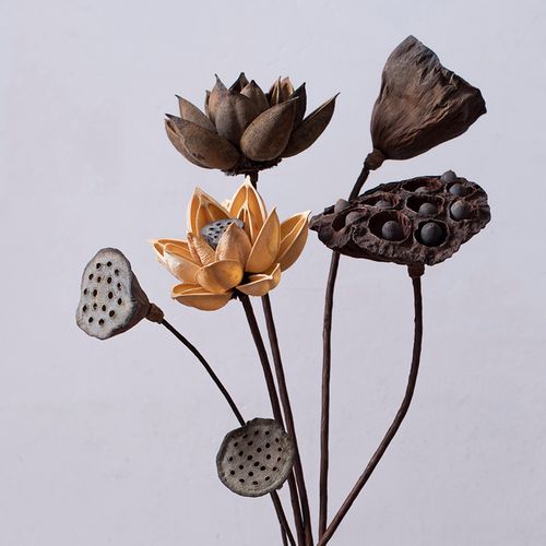 干客厅松果花束插花风干复古莲花莲蓬式摆荷花花件混合禅干意红色